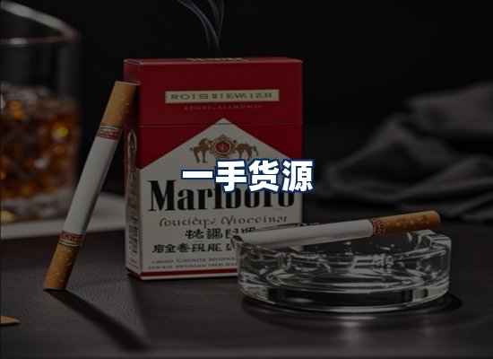 专业团队办公环境